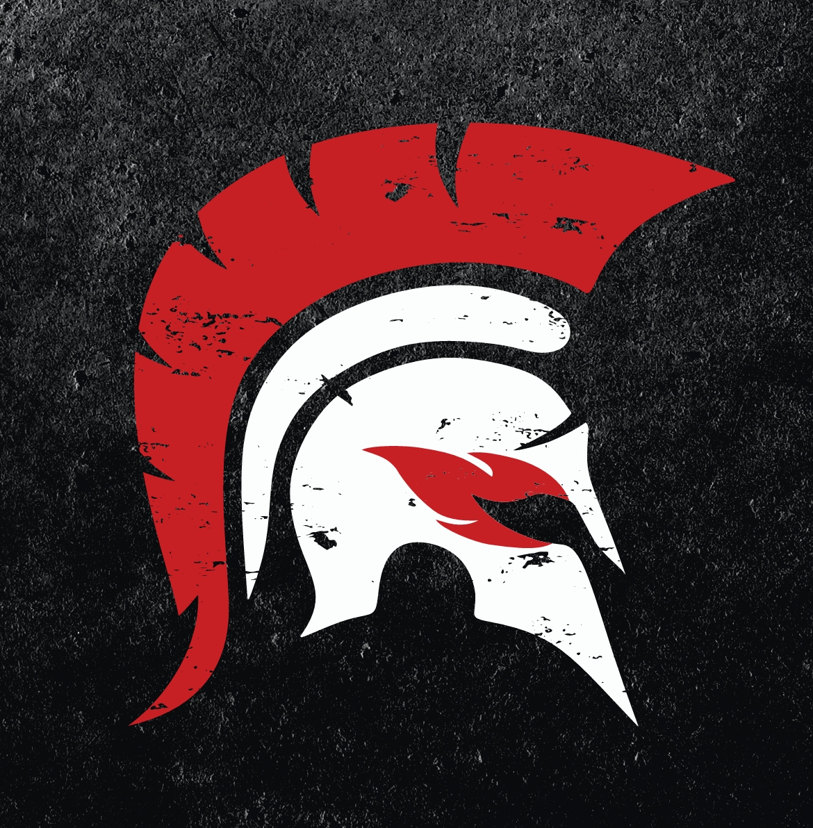 Spartan FR Icon